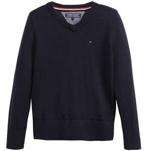 Tommy mens v neck sweater in Navy